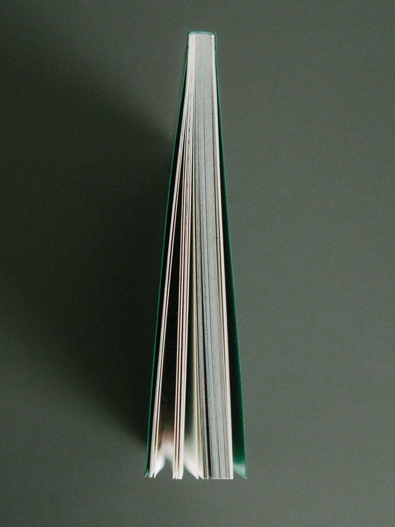 ONLY HUMAN - David Shillinglaw